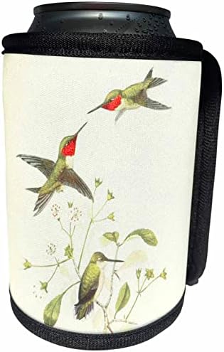 3dRose Ретро арт Принт Колибри с рубиновым гърлото за птици. - Опаковки за бутилки-охладители (cc-364647-1)