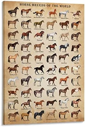 Плакат с Породи коне, Плакат с Вида на коня, Познаване на коне, Плакат с породи коне на света, Готов за окачване, в рамката на 16x24 инча