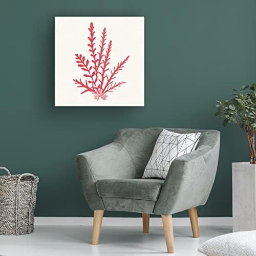 Търговска марка на Fine Art 'Pacific Sea Mosses III Red' Платно-арт от Wild Apple Portfolio 24x24