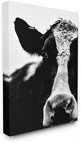 Колекция аксесоари за дома Stupell Крава на Черно-Бялата Близък план, Опъната Платно, Стенно Изкуство, Многоцветен