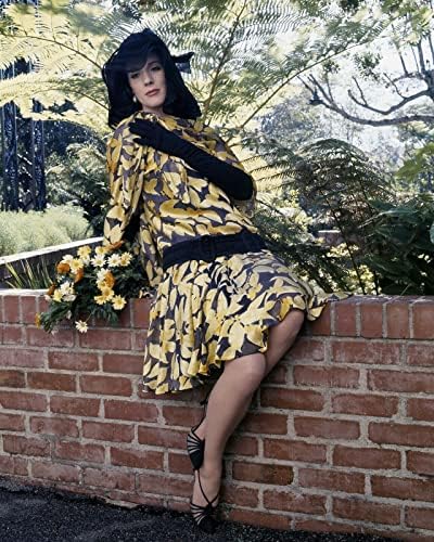 Джули Андрюс Галмор позира в жълта рокля, седи на стената, звездата от 1968 г., снимка 8x10