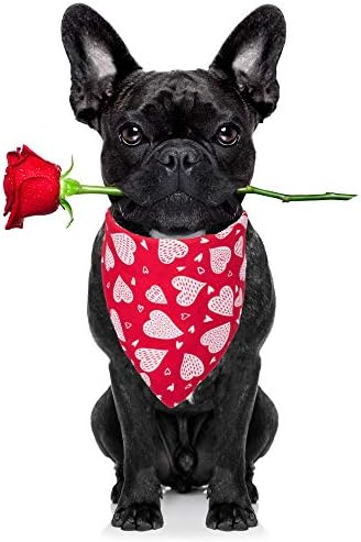 ADOGGYGO 2 Опаковки, Кърпа за Кучета в Деня на Св. Валентин, Задни Триъгълни Престилки, Шал, Аксесоари за Малки,