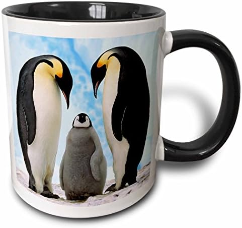 Семеен чаша 3dRose Императорски пингвин, 11 грама, Многоцветен