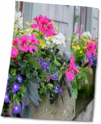 3. Цветя Рози, прозоречни каси, Nantucket, Масачузетс, САЩ - Кърпи (twl-279042-3)