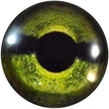 очите на Костенурка е зелена на цвят 30мм Стъклена за Скулптури Таксидермии или Бижута Като Привесные занаяти