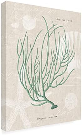 Търговска марка на Изобразителното изкуство Горгония Миниацея на бельо морска пяна Платно Арт портфолио от Wild