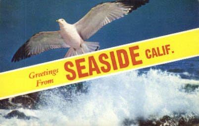 Пощенска картичка с изглед към морето, Калифорния