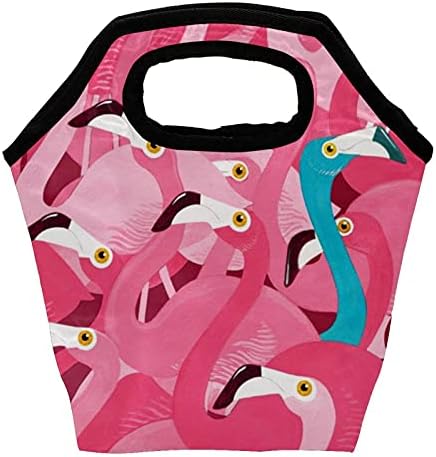 HEOEH Flamingos Чанта за Обяд, Чанта-Хладилник, Чанта-Тоут, Изолирани Обяд-Апарати джоб, Чанта за Училище Офис на