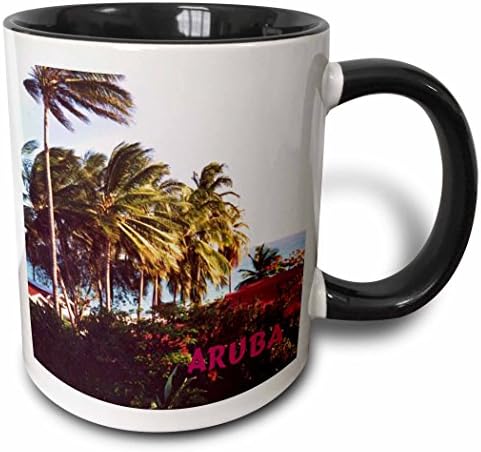 3dRose Aruba Бриз-два цвята Черна чаша, 11 грама, Боядисана