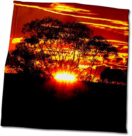 Кърпи 3dRose Sven Herkenrath Sunset - Модерен Залез с цветя - twl-236683-3)