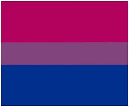 Бутилка за вода с Флага Бисексуальной гордост - Неръждаема стомана с Вакуумна изолация - Широка Врата