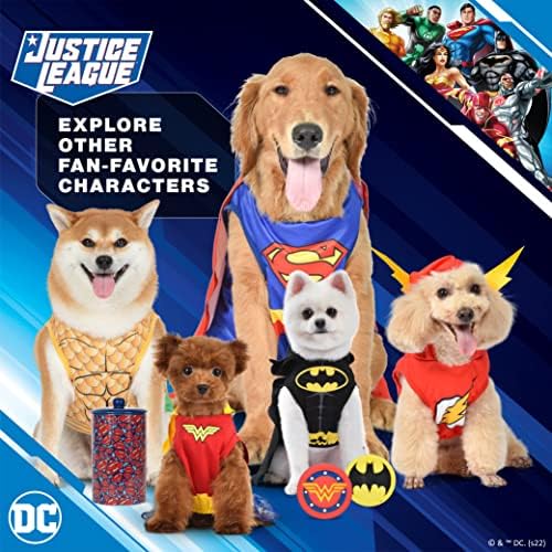 Костюм на куче супергерой Flash Комикси на DC на Хелоуин – Много Малък - | Костюми на Супергерой DC на Хелоуин за